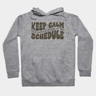 Keep Calm and Pretend It's on the Schedule shirt, Vetmed shirt, Work Life Hoodie